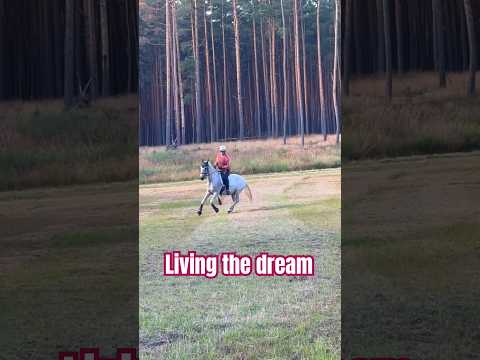 Reiten im Gelände 🐴 Lebe deinen Traum #galopp #fliegendegaloppwechsel #Ausreiten