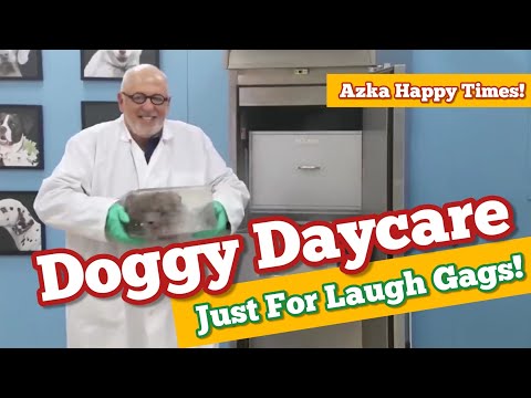 Doggy Daycare | Long Term Storage | Just For Laugh Gags! 😂😂😂