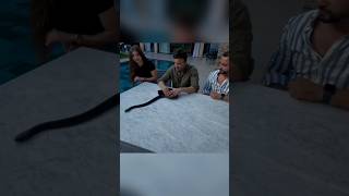 Download lagu AKSI SULAPNYA DILUAR NALAR ORANG BIASA mp3