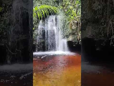Cachoeira do Chapadão - RPPN Chapadão da Serra Negra - Santa Bárbara do Monte Verde - Minas Gerais 💛