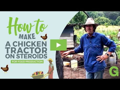 How to Make a Chicken Composting System