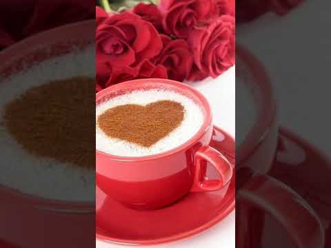 ፈቃር ሰለማዊ ዝከባበር ስጋይ ስጋክ ዝብል ህዝቢ ልክዕ ከምዚ ጽቡቅ ክትርእዮ ዘብህገካ ዕንበባ ይመስል ደላይኡ ፈታዊኡ ከኣ ብዙሕ እዩ።