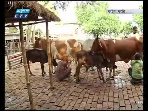 দুগ্ধজাত খাবারের ভেজাল নিরুপণে জরিপ, জড়িতদের শাস্তি