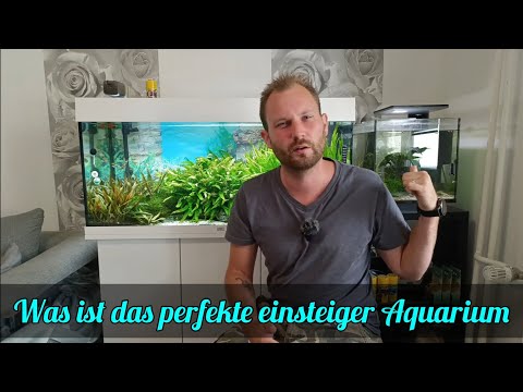Was ist das perfekte einsteiger Aquarium?