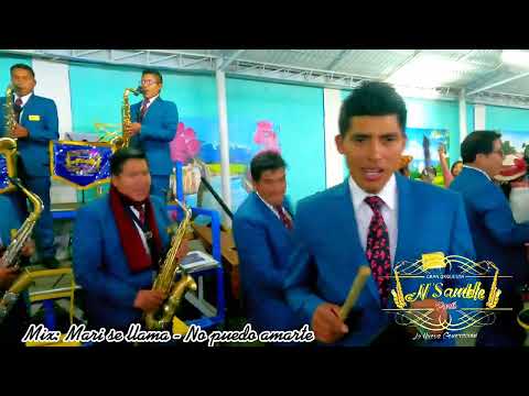 🎷LA GRAN ORQUESTA N'SAMBLE PERÚ 🇵🇪 Mix Parranditas