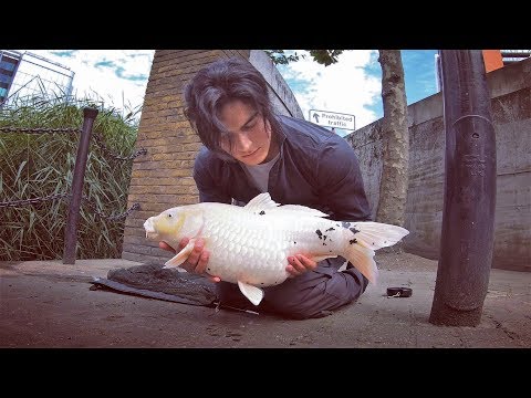 my Start to Summer Ft. Slimy Surprises in London ( Searching for City Carp along Urban Waterways )