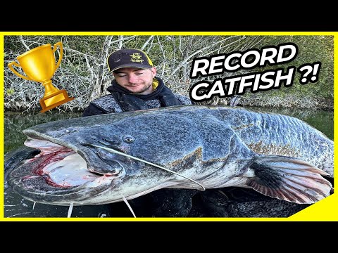 RECORD Wels CATFISH 🤯😳 ?! Monster CATFISH vs ANGLER🔥 | Vertical Fishing on the River🎣 | Big Catfish💥