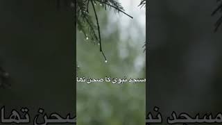 Download lagu Masjid e nabbwi ka sehan tha #islamicvideo #quotes #ytshort mp3