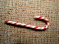 James C Robinson III S Recording Of Bed Bug Bible Gang Though Pictures Candy Cane Here