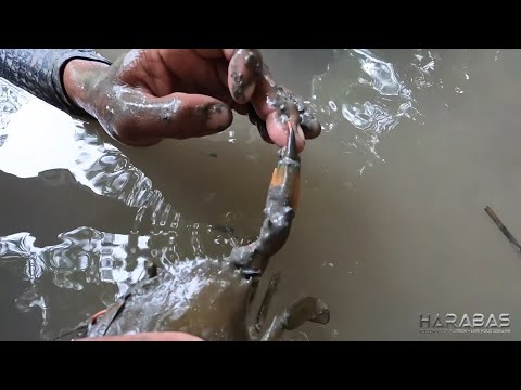 EP780-P1 - Patukba sa Ilog | Outdoor Cooking