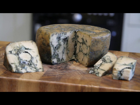 download lagu mp3 mp4 Is Blue Cheese Vegetarian, download lagu Is Blue Cheese Vegetarian gratis, unduh video klip Is Blue Cheese Vegetarian