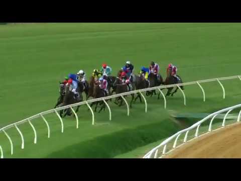 2017 Kingston Town Classic - Pounamu (Patrick Carberry)