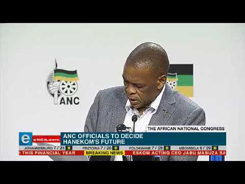 ANC to decide on Hanekom's future