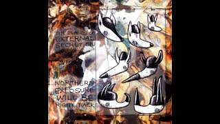 Glands Of External Secretion, "Why Don't Y'All Play That Outhouse Tune" (1995)