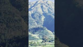 Download lagu Pemandangan Indah di Kaki Gunung Sindoro ynag terletak di Kota Wonosobo , Jawa Tengah #fyp mp3