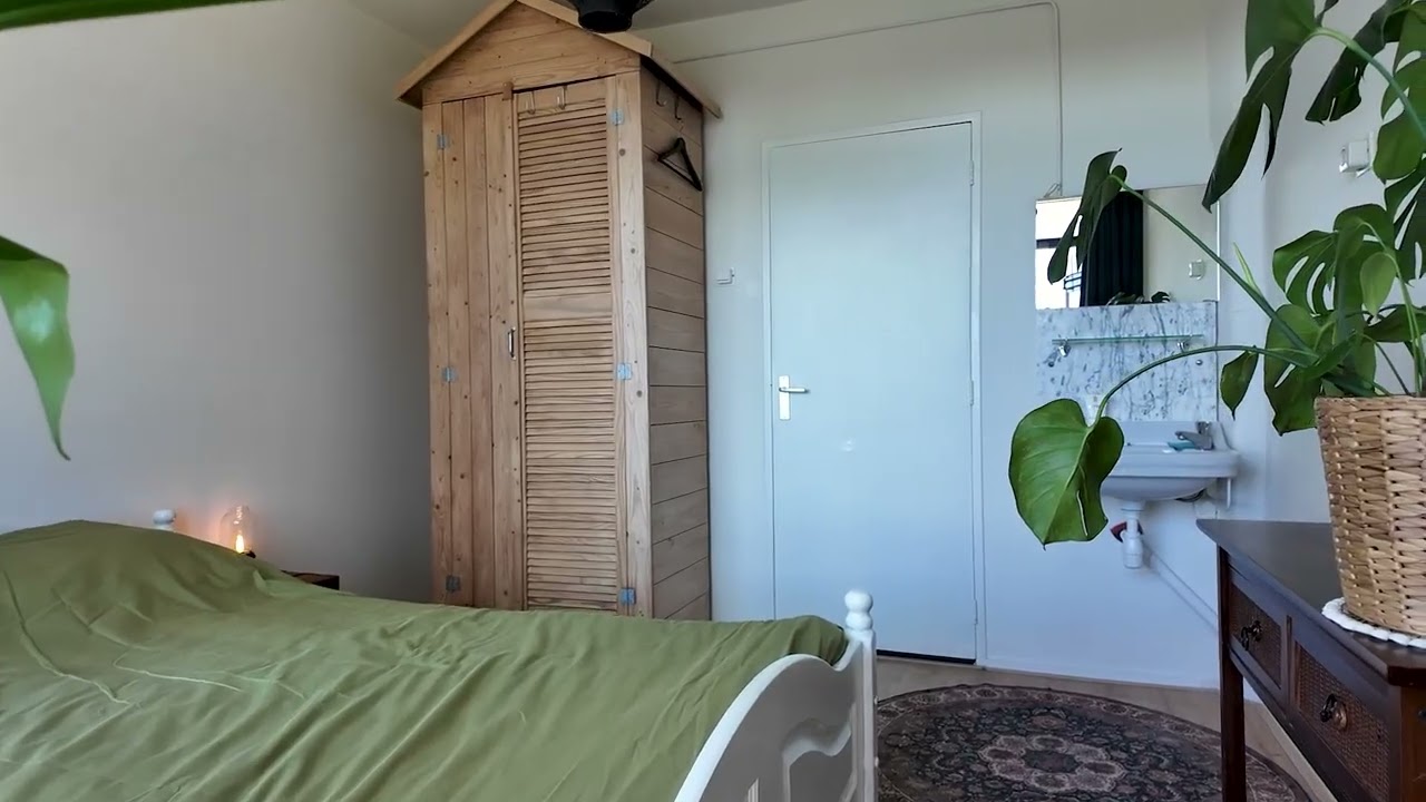 Jacob van Ruysdaelstraat 45 - video