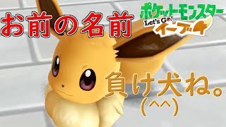 最高の相棒 負け犬 と一致団結してチャンピオンめざします！！！【ポケモン イーブイ ＃1】