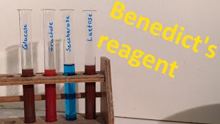 Benedict's reagent - A simple alternative to Fehling's reagent