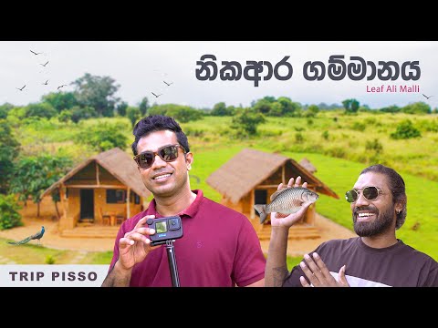 කැලේ මැද තියෙන සුපිරි නවාතැන | Leaf 🌿 Ali Malli Thanamalwila | Authentic Village Life 👌