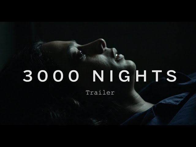3000 nights