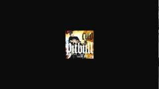 Culo - Pitbull Ft. Lil' Jon (Daniel Tn Club Mix)