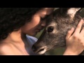 Omnia - No One Home ( Ana Criado ) 