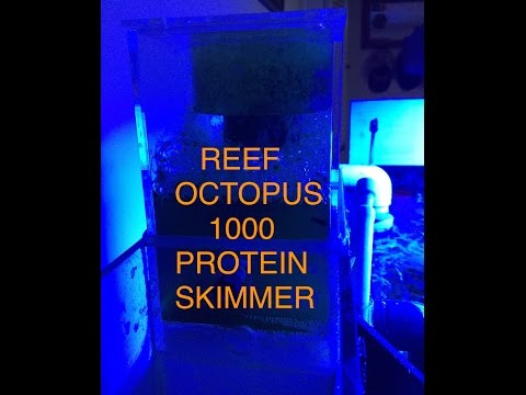 Reef Octopus 1000 Protein Skimmer BH1000 Review