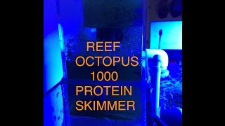 Reef Octopus 1000 Protein Skimmer BH1000 Review