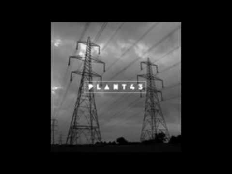 Plant43 - Wire Wound