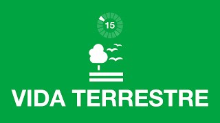 15 Vida terrestre