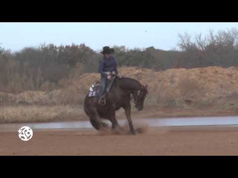 ST Pats Custom Whiz - Jonathan Baruch