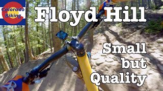 Full review of the new Floyd Hill trails, as of June 2019.