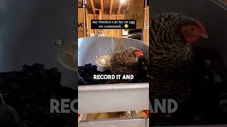 Download lagu This Chicken Can Lay Eggs On Command π mp3 Download lagu This Chicken Can Lay Eggs On Command π mp3