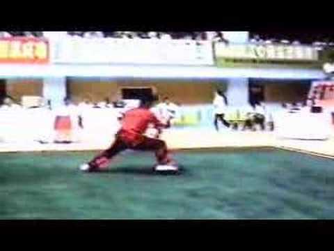 Wushu - Yuan Wen Qing Gun Shu 1993