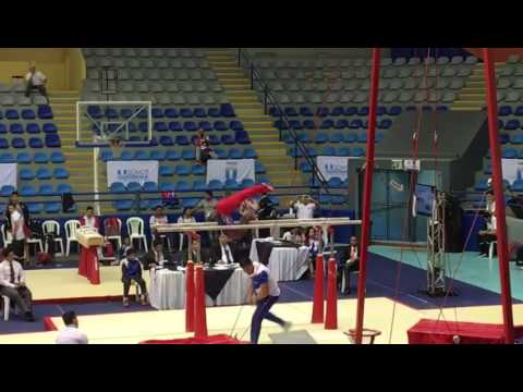 Manrique Larduet P Bars Gymnastics