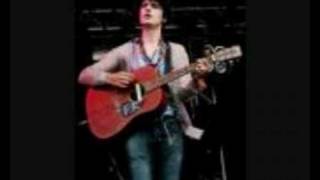 Pete Doherty - Lust of the Libertines