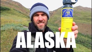 HOW EXPENSIVE IS ALASKA? One Day in Denali National Park
