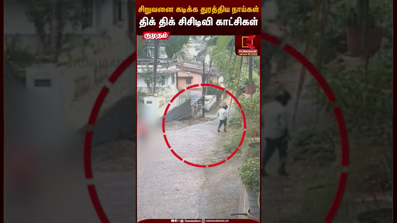 Child Chased By Dogs | சிறுவனை கடிக்க துரத்திய நாய்கள் திக் திக் சிசிடிவி காட்சிகள் | Kumudam News