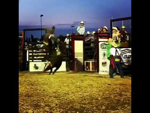 500 I’m Legit Too 2019