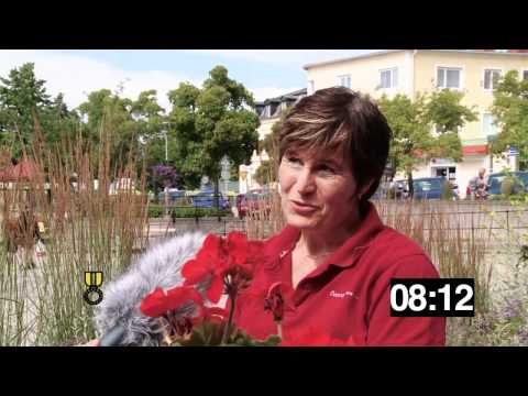 Hjälp, jag bor i Åtvidaberg - Ödeshög (avsnitt 6)