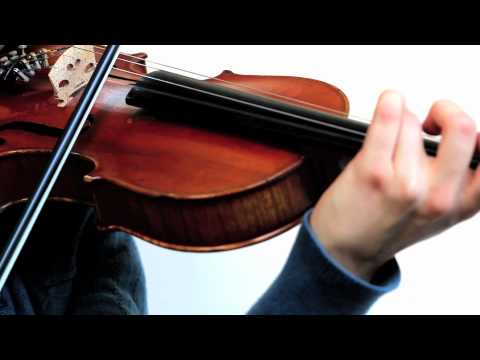 Bluegrass Fiddle - Big Mon