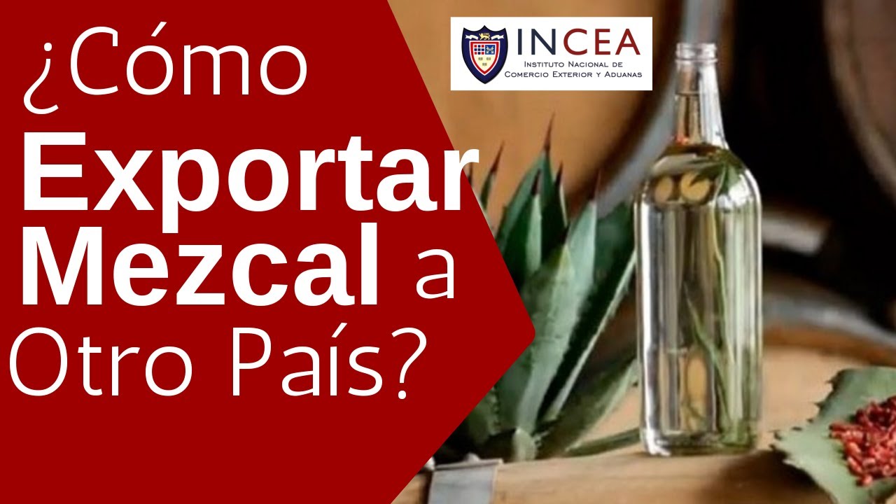 ¿Cómo Exportar Mezcal a Otro País?