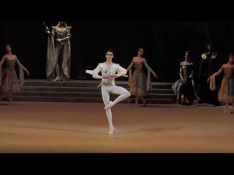 Dmitry Smilevsky -  Raymonda