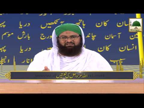 Allah Ki Naimatain Ep#22 - Ilm Ki Naimat