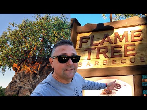 DISNEY'S ANIMAL KINGDOM TREE OF LIFE | FLAME TREE BARBECUE REVIEW | LET'S GO FLY A KITE TOO!!!