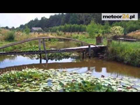 Agroturystyka Uroczysko - Dylaki meteor24.pl