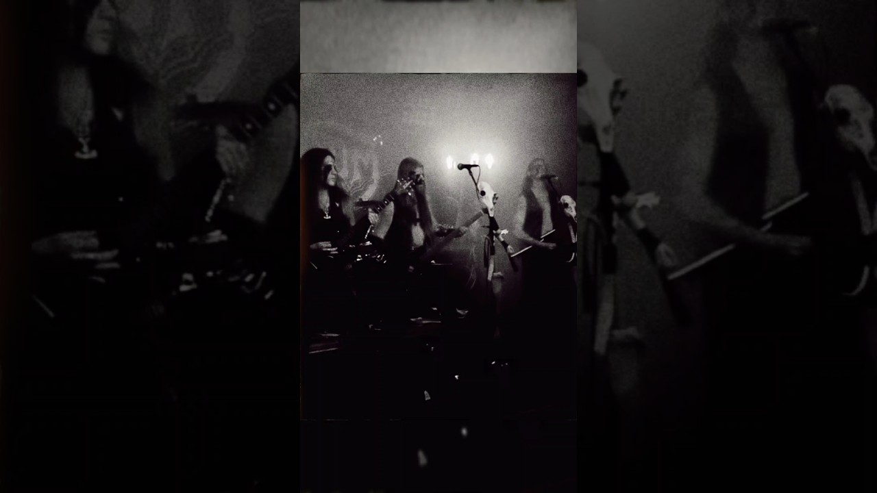 Total Black Metal Devastation on Stage! #blackmetal #deathmetal #swedishmetal #shorts