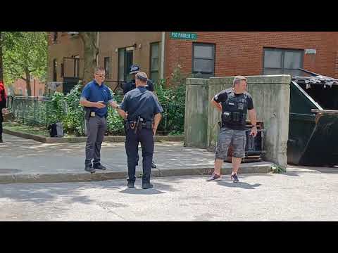 Boston police make 1 arrest and recover two firearms in Jamaica Plain