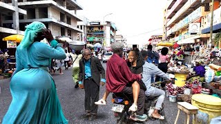 Download lagu SHOBO    ||    DAR NEWS ORIGINAL mp3