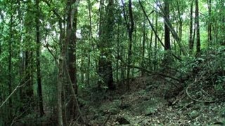 Buffer Zone in Silent Valley